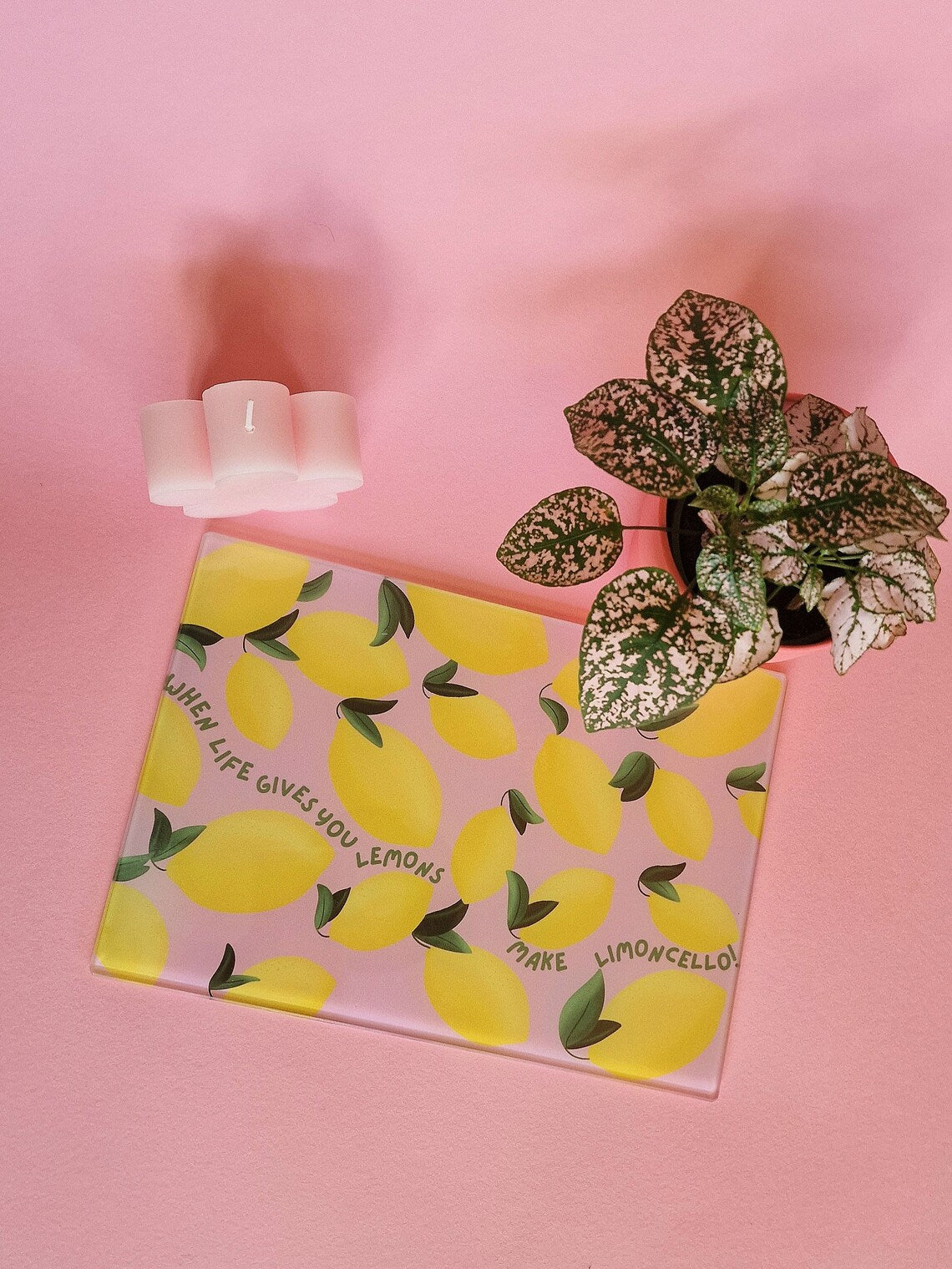 Shatterproof Kitchen Chopping Board