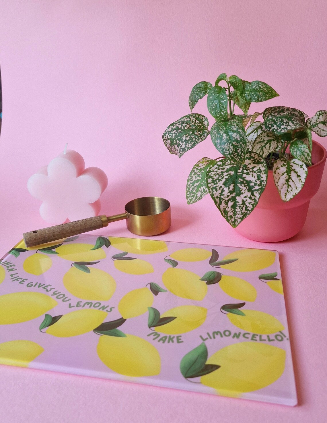 Shatterproof Kitchen Chopping Board