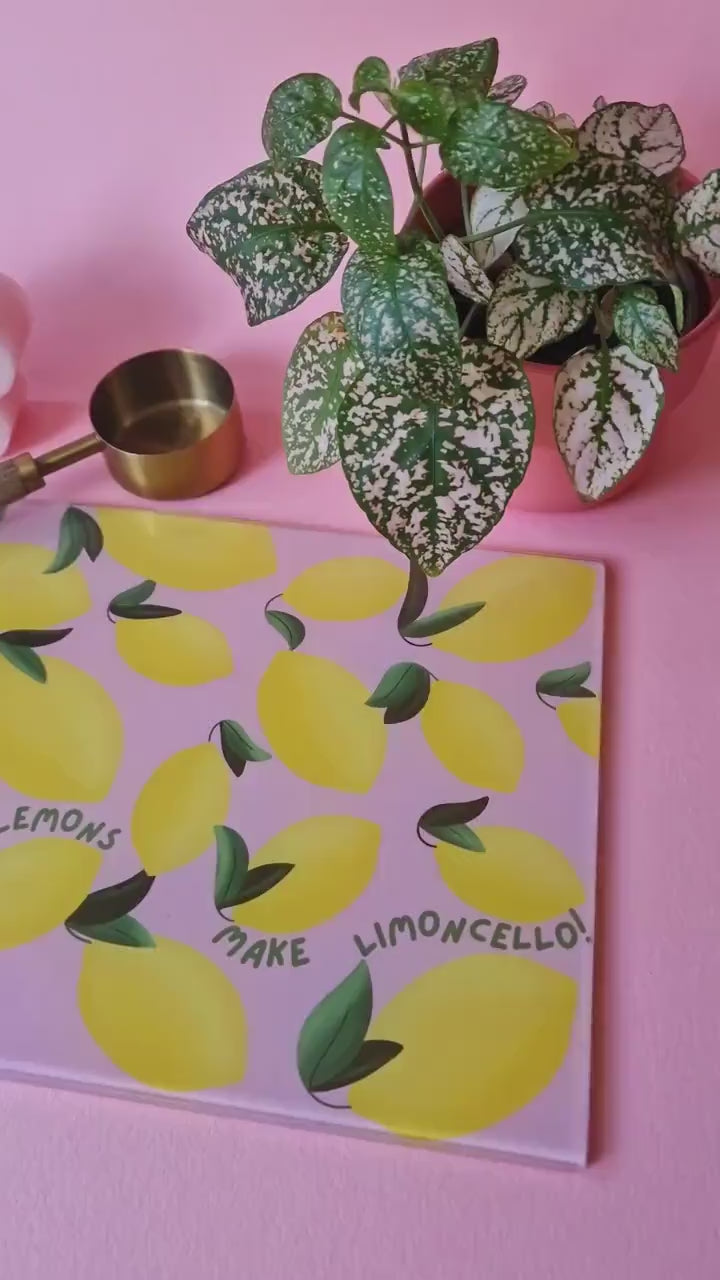 Shatterproof Kitchen Chopping Board